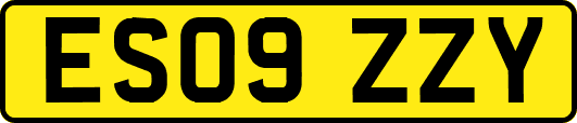 ES09ZZY