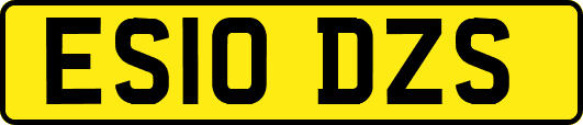 ES10DZS