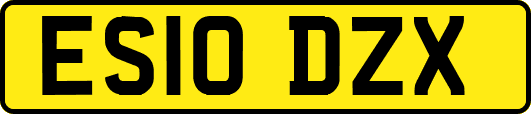 ES10DZX