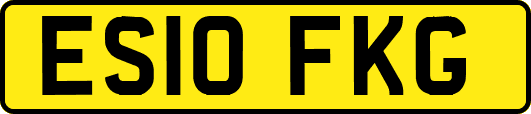ES10FKG
