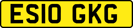 ES10GKG