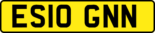 ES10GNN