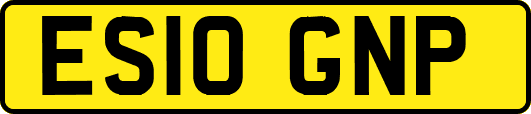 ES10GNP