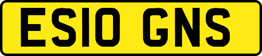 ES10GNS