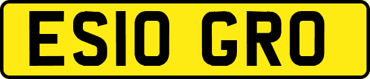 ES10GRO