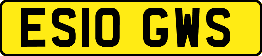 ES10GWS