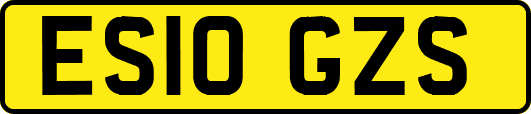ES10GZS