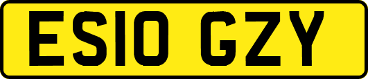 ES10GZY
