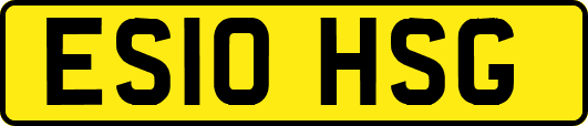 ES10HSG