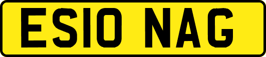 ES10NAG