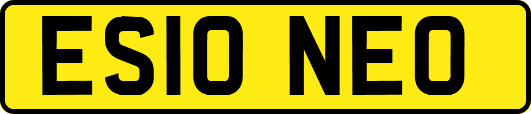 ES10NEO