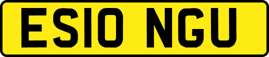 ES10NGU