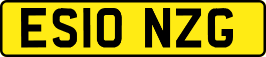ES10NZG