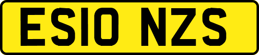 ES10NZS