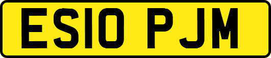 ES10PJM
