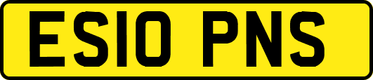 ES10PNS