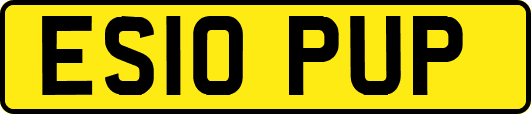 ES10PUP