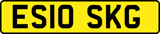 ES10SKG