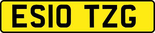 ES10TZG