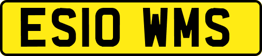 ES10WMS