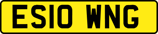 ES10WNG