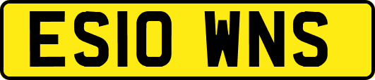 ES10WNS
