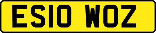 ES10WOZ