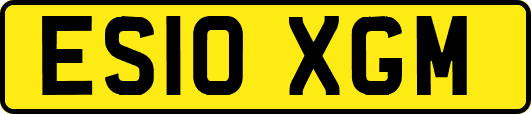 ES10XGM
