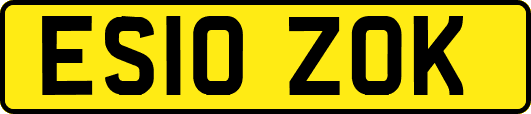 ES10ZOK