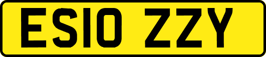 ES10ZZY