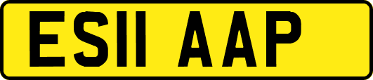 ES11AAP