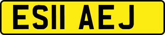 ES11AEJ