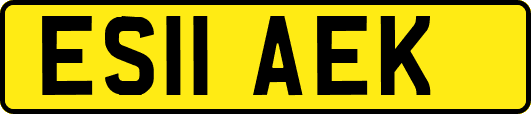 ES11AEK