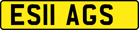 ES11AGS