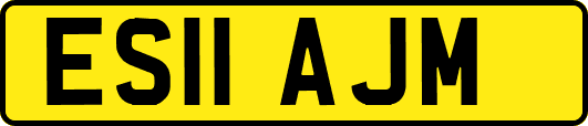 ES11AJM