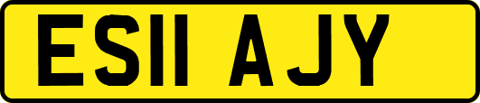 ES11AJY