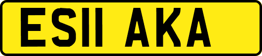 ES11AKA