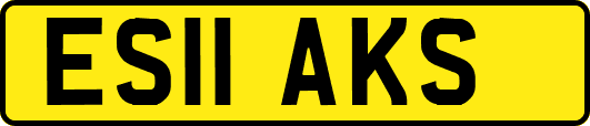 ES11AKS