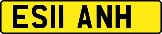 ES11ANH