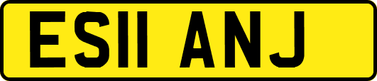 ES11ANJ