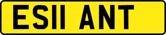 ES11ANT