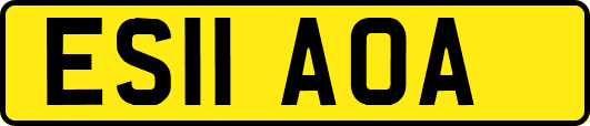 ES11AOA