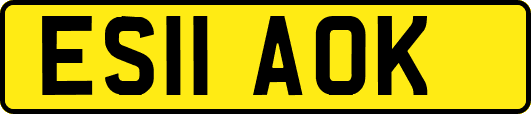 ES11AOK