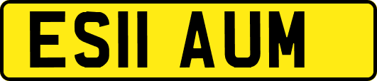 ES11AUM