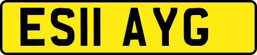 ES11AYG
