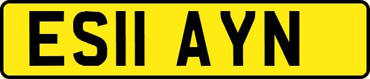 ES11AYN
