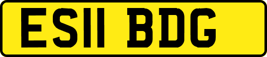 ES11BDG