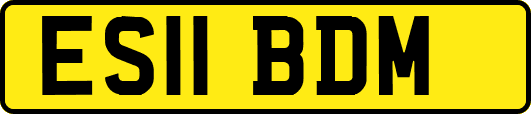 ES11BDM
