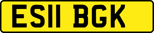 ES11BGK