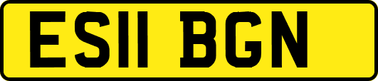 ES11BGN